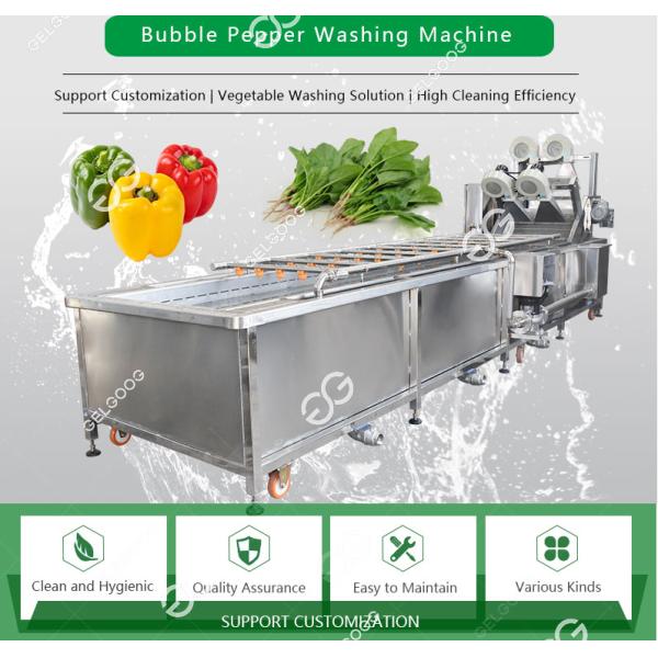 Chili Pepper Bubble Washing Machine Hot Sale Vegetables Industrial