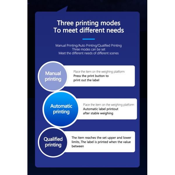 Customized SOHE A8SP Meter Printing Scale Instrument with Waterproof Sensor Display