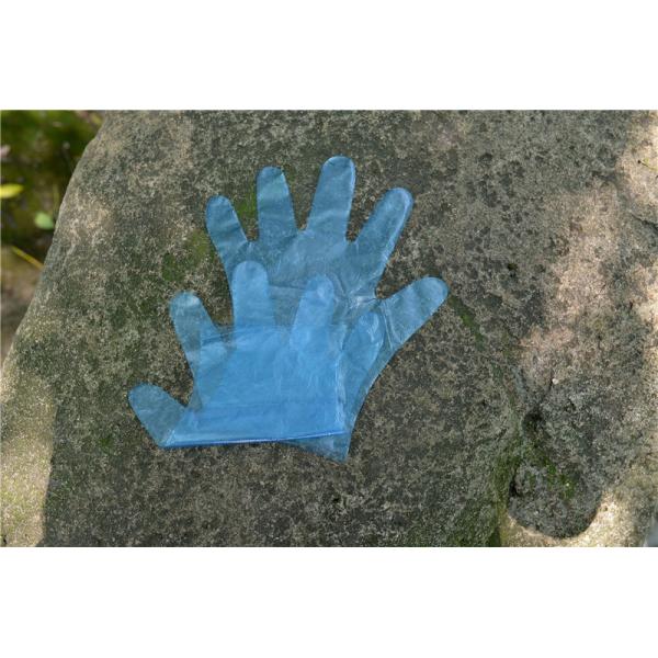 Не токсический домочадец очищая устранимые перчатки TPE