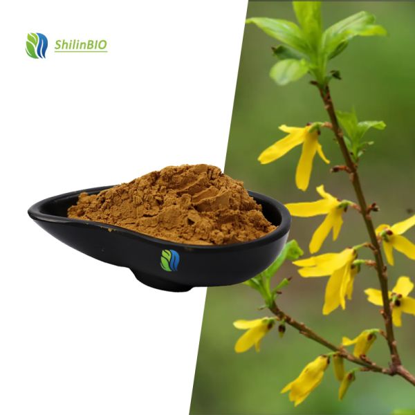 SLBIO High Quality Food Grade 10:1 20:1 Gymnema Sylvestre Leaf Extract Powder
