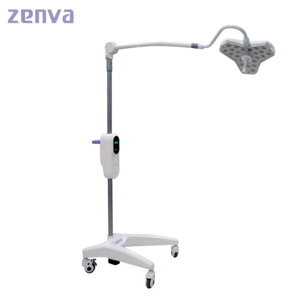 300mm Dia Health  Beauty LED Examination Light For Hospital Clinic