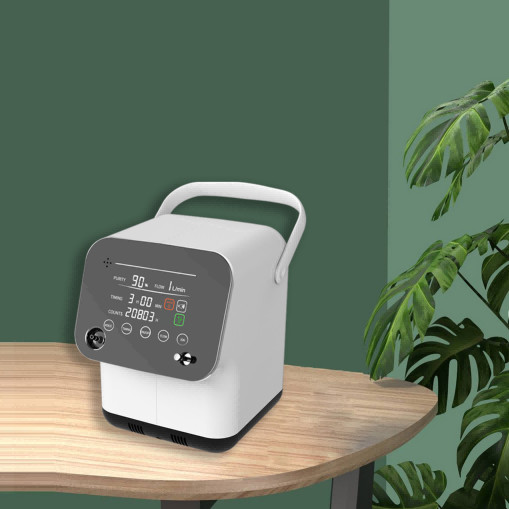 Industrial 1lpm Portable O2 Concentrator With Anions Nebulizer