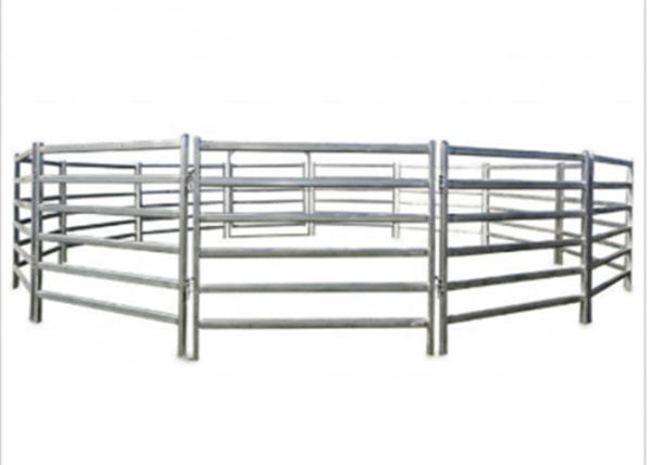 Do painel galvanizado da cerca do mergulho quente do equipamento agrícola 1,6 * 1,8 do gado do metal medidores
