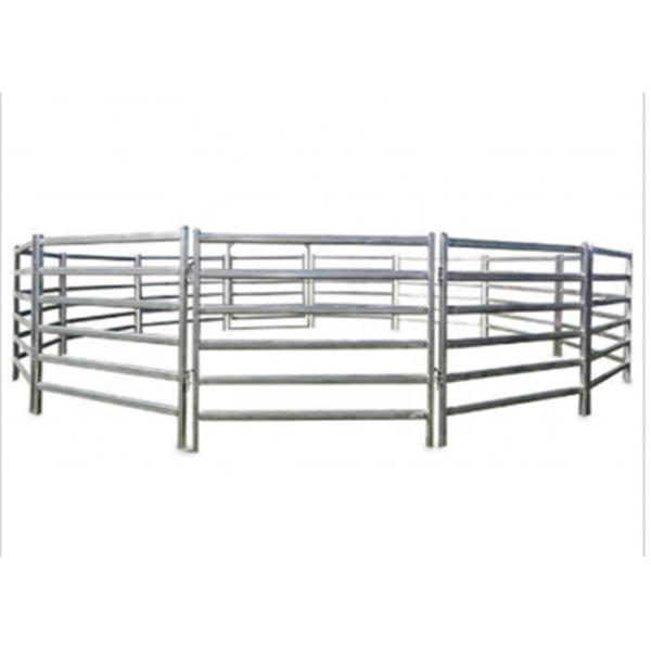 Metal Cattle Farm Equipment 1.6 * 1.8 Meters Hot Dip Galvanized Fence Panel