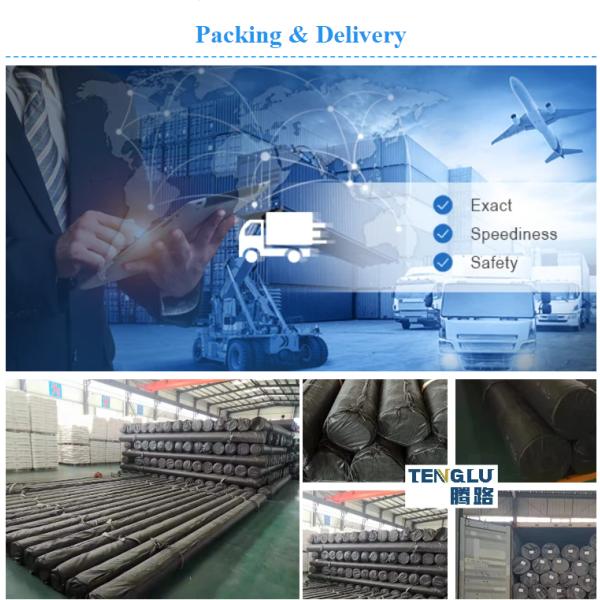 Asphalt Reinforcement Fiberglass Geogrid Lower Cost Advantage for Slope Protection