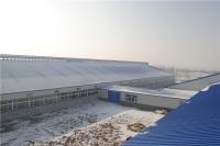 Q355B Steel Structure Cowshed Building with Sandwich Panel