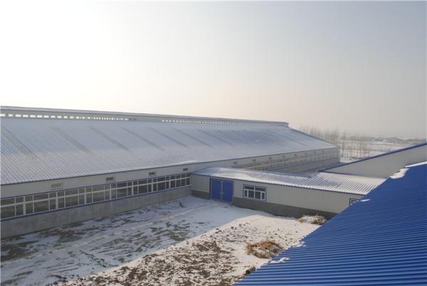 Construção pré-fabricada do estábulo da construção de aço de Q355B com painel de sanduíche