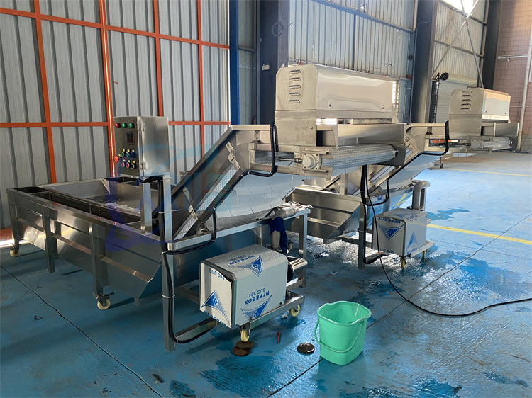 1500kg/H Prawn Cleaning Machine Lettuce And Cabbage Air Spray Washing Machine