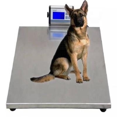Balance vétérinaire Digital Dog Vet 100kg 500kg Balance pour animaux Balance pour moutons Échelles de poids abordables LED 60kg Chien électronique Chiot