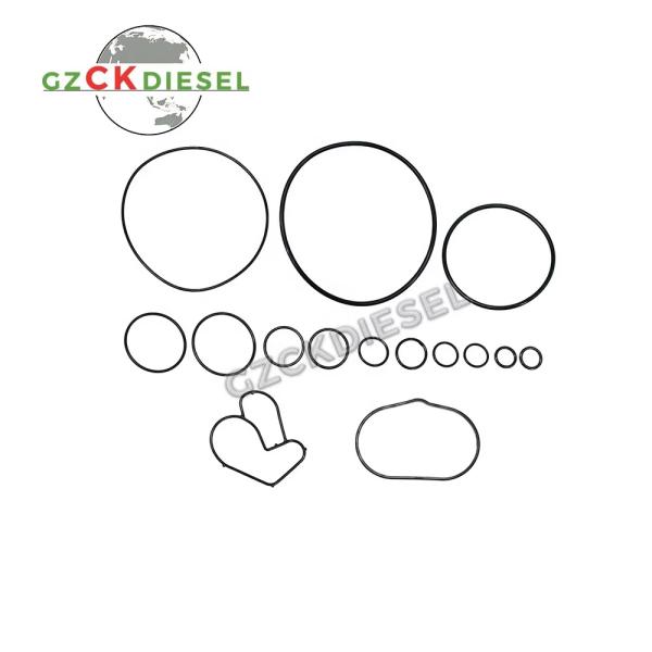 891866-CP5-2 Fuel Pump Repair Kit 0445020236 For CP5 CP5-2