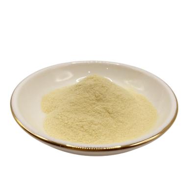 OEM ODM Organic Amino Acid Powder Organic Nitrogen Fertilizer