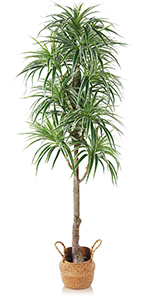 Artificial Golden Dieffenbachia Plant 43 Inch Tall Fake Tropical Lifelike Tree in Pot Silk Faux Dark Green Plant