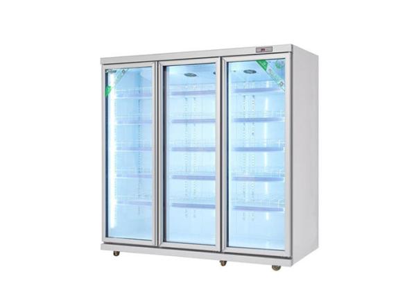 Display Chiller Commercial Beverage Cooler Refrigerator Glass Door Fridge