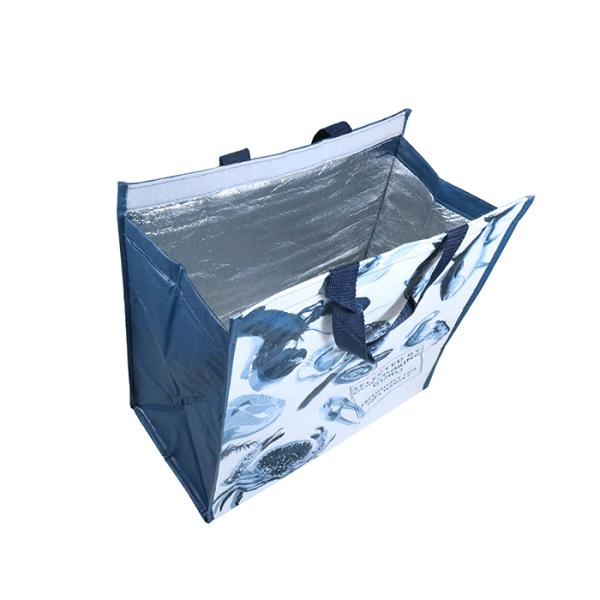 Gravure Printing Insulated Aluminium Foil Bag , Non Woven Picnic Thermal Bag
