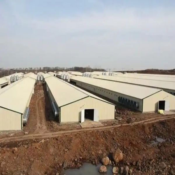 Corrosion Resistant High Efficiency Modular Poultry Ventilation System for Energy Saving Farm Ventilation