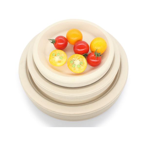 LFGB EU 14cm Handpainted Food Takeaway Boxes 5.5 Inch Round Sugarcane Bagasse Plates