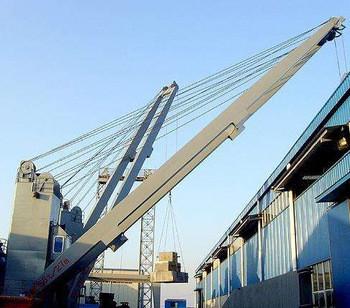 40 T Telescopic Boom Jib Electric Hydraulic Crane Folding Boom Crane