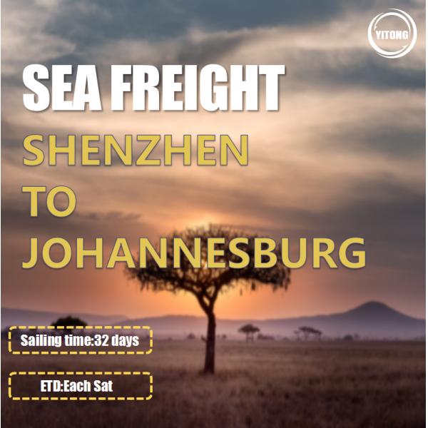 Direct Sailing Worldwide Sea Freight From Shenzhen To Johannesburg South Africa