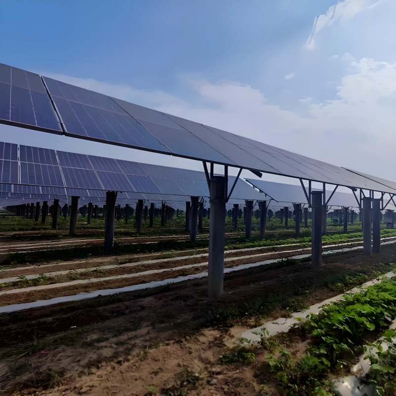 Sustainable Ground Mount System: Low-Carbon Design, Protecting Land Ecology