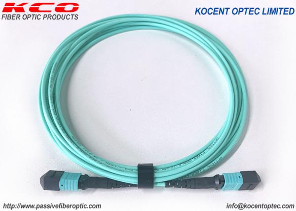 MPO MTP Trunk Fiber Patch Cable Elite Low Loss 8fo OM3 OM4 APC