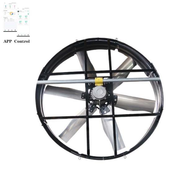 Essential for Ranches: The Outstanding Performance of 72-Inch Panel Fans