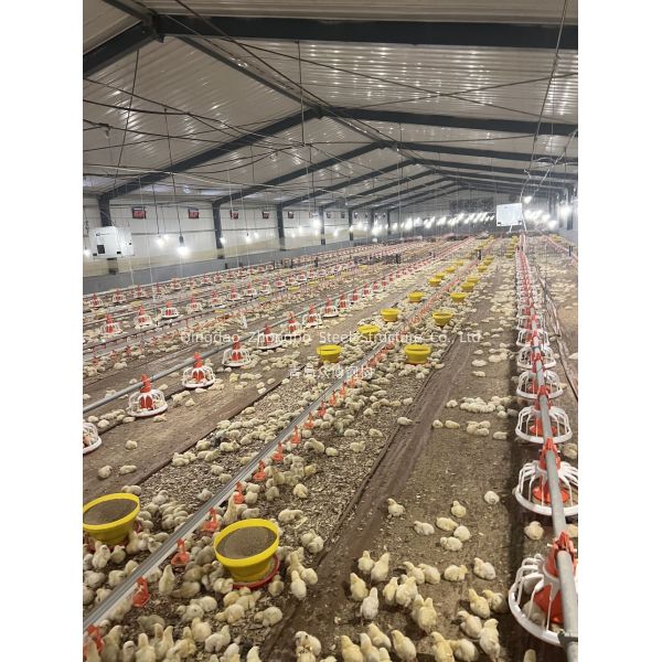 Custom Prefabricated Steel Frame With Q235 Q355 Steel For Chicken House