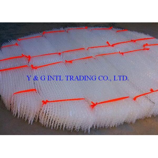 Gas Drying Structured Packing Column Chlorine Plastic Orifice Plate Corrugated
