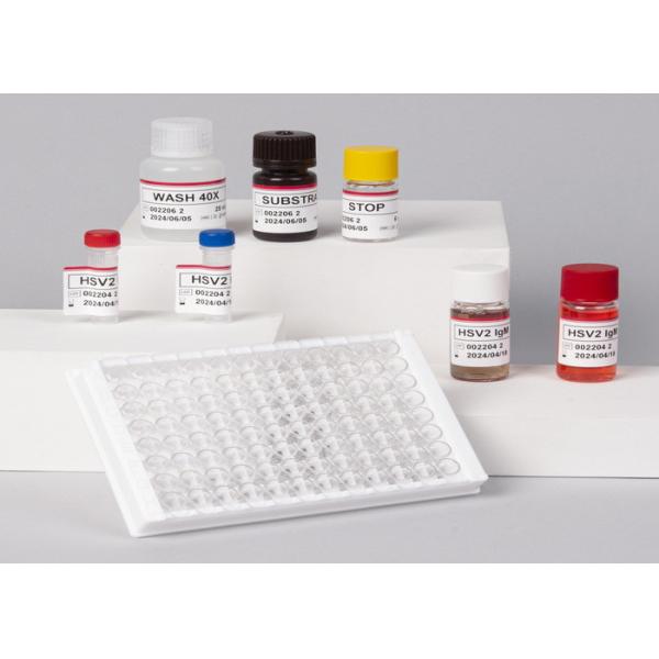 VCAM1 CD106 ELISA RUO Test Kit For Human Vascular Cell Adhesion Molecule 1