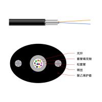 Câble optique GYXTPY de fibre du porteur central FTTH de fil d'acier