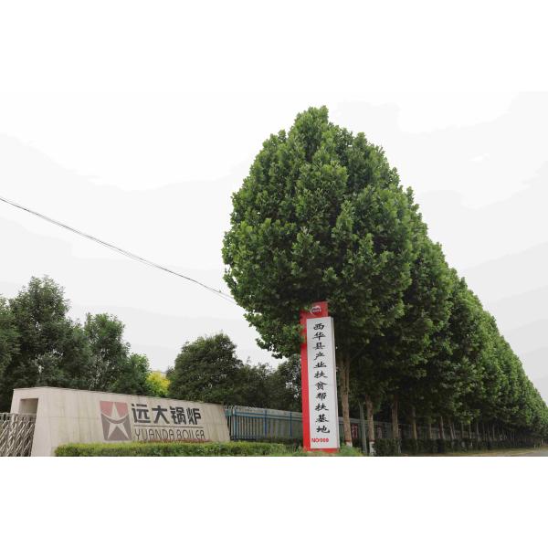 4T Coal Fired Industrial Boiler , Wood Pellet Steam Boiler Fit Palm Oil Mills