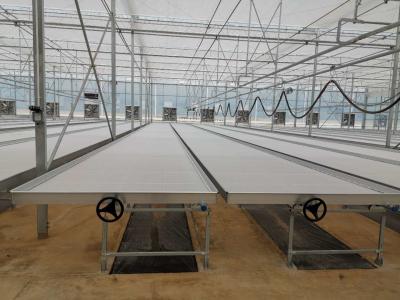 ABS Ebb And Flow Tray Greenhouse Benches Length 8ft 10ft 12ft Customized