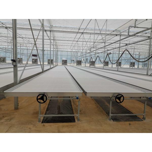 Agricultural 4*8ft ABS Plastic Hydroponic Flood Tray Growing Racks