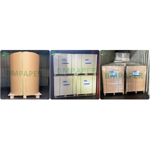 Virgin Fibre Cartonboard with Grease Barrier 245gsm Excellent Printability Gloss Digital Printing Paper For Proposals Brochures 100lb Text Paper