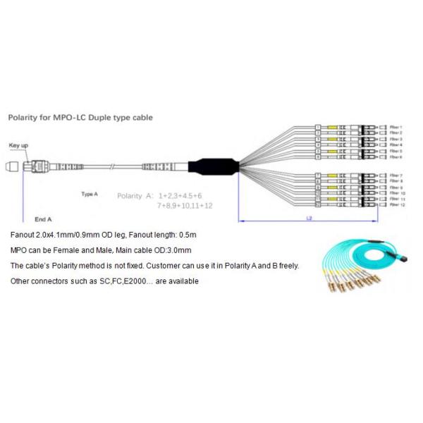 12 Fibers MPO-LC Fiber Optic Cable OM4 2.0mm Straight Harness for High-Density Data Centers