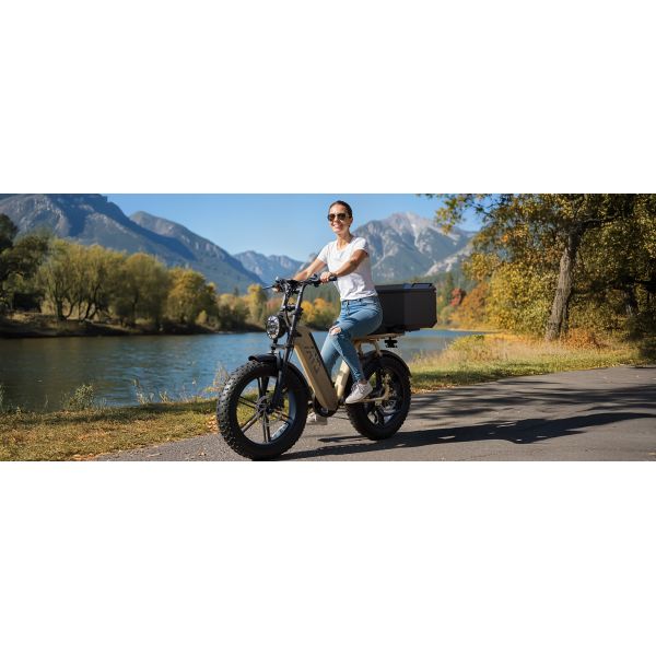 R7 Electric Multi-Purpose E-Bike Brushless Steel Frame Dual Suspension Disc Brake Rear Hub Motor 15AH Electric Utility Bike