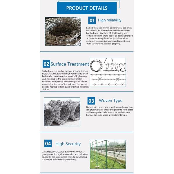Hot Dipped Galvanized Steel Barbed Wire 12Gauge for Security Fencing