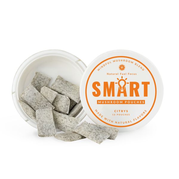Smart Supplement Nootropic Pouches with Lion's Mane Extract Ginseng for Rapid Cognitive Enhancement