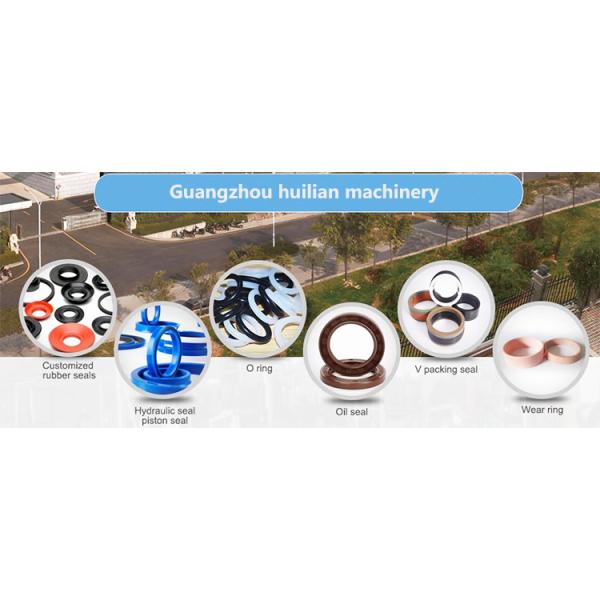 Резиновый набор колцеобразного уплотнения установил герметизируя коробку колцеобразного уплотнения набора NBR колцеобразного уплотнения экскаватора гидравлического цилиндра голубую