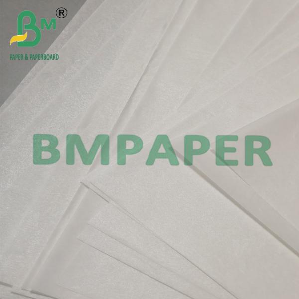 Biodegradable Waterproof Silicone Oil Baking Paper For Barbecue Biodegradable Waterproof Silicone Oil Baking Paper For Barbecue