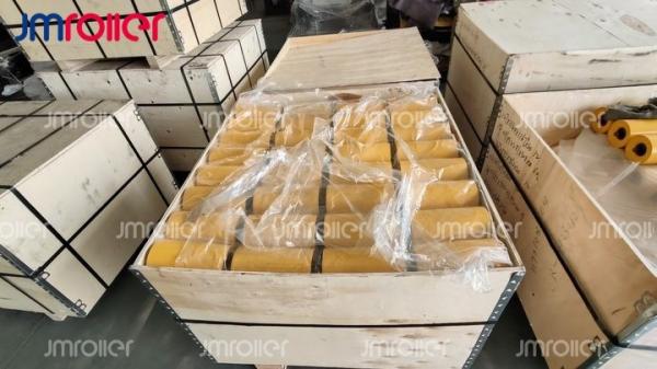 Long Lasting Sealed Bearing Carrying Roller for Dust and Moisture Protection Conveyor Diameter 50-219 mm Customized