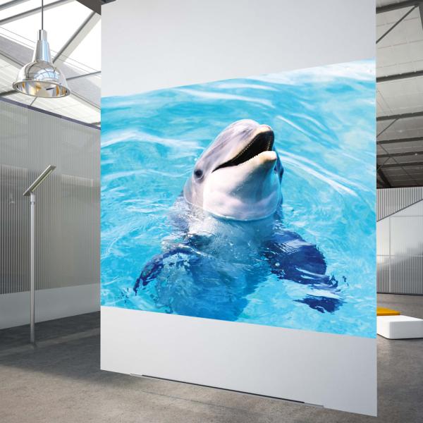 3D Transparent Holographic Projection Film Gray White Black Rear Hologram Window Foil