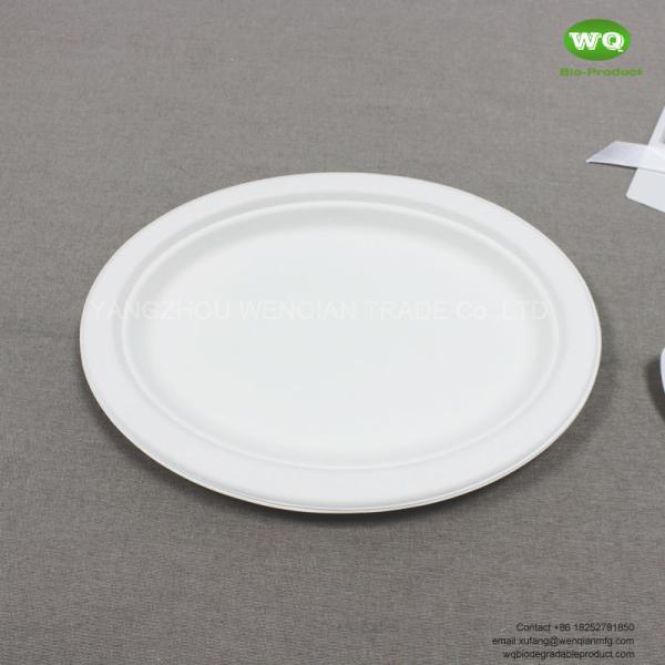 10/12 Inch biodegradable sugarcane Oval Plate-Wholesale Water-proof bagasse plate-Natural friendly pulp tableware