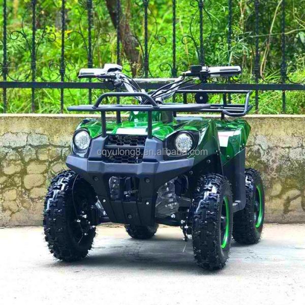 Electric ATV 800w Mini Quad Bike for Adults and Kids Small Off-Road Outdoor Sports Car