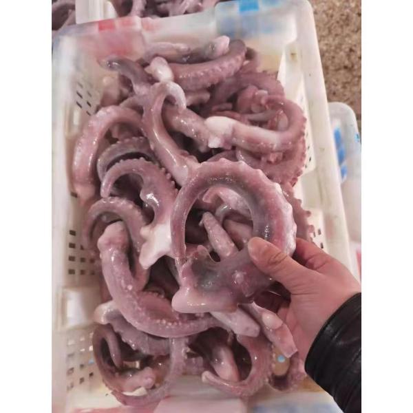 Для кальмара ранга IQF рыбного базара a Таиланда замороженного индийского щупальца отрезали целые