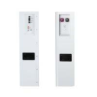Batterie rechargeable Lifepo4 Batterie au lithium phosphate Batterie murale 48v