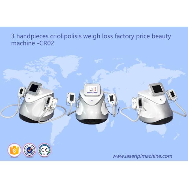 3 Handpieces Cryolipolysis amincissant l'équipement CR02 de beauté de perte de poids de machine