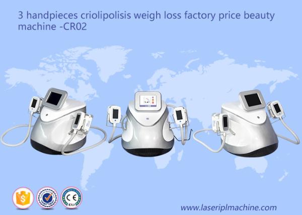 Equipamento CR02 da beleza da perda de peso da máquina do emagrecimento de 3 Handpieces Cryolipolysis