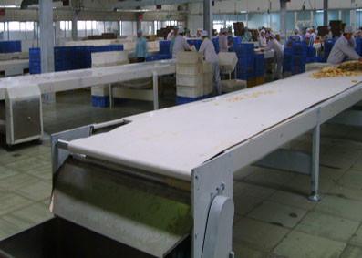 Hot Sale PVC Belt Conveyor for Conveying