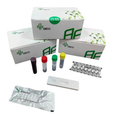 0157:H7 Kit de detecção de E. coli hemorrágica EXO com detector de fluorescência isotérmica