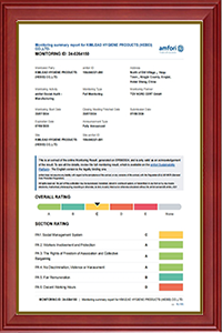 Linyi Xinghong Trading Co., Ltd